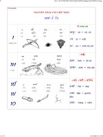 Nguyên âm và vần chữ Thái