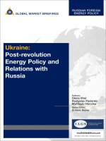 viter o., pavlenko r., honchar m. ukraine. post-revolution energy policy and relation with russia. 2006