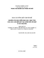 Nghiên cứu mối hại cây công nghiệp (cao su, ca phê) và công trình thuỷ lợi ở các tỉnh tây nguyên nghiên cứu đặc điểm sinh hoc, sinh thái của các loài mối gây hại chính đối với đập ở tây nguyên