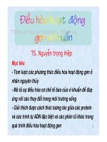 Bài giảng Điều hòa hoạt động gen vi khuẩn  TS. Nguyễn Trọng Hiệp