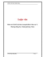 Luận văn: Khảo sát vấn đề việc làm của người dân ở khu vực 9, Phường Đống Đa, Thành phố Quy Nhơn