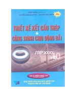 Thiết kế kết cấu thép và công trình chịu động đất bằng sap200