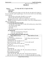 Giáo án chuẩn Lớp 2 cả năm