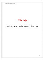 Tiểu luận: Phân tích triển vọng công ty  Lý thuyết cơ bản phân tích triển vọng