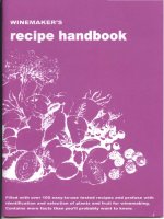 winemakers recipe handbook - massaccesi
