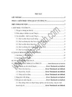 thực trạng tổ chức hoạch toán kế toán tại công ty điện thoại hà nội 1