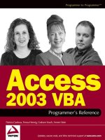 access 2003 vba programmer’s reference