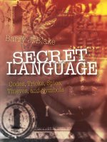 secret language codes tricks spies thieves and symbols apr 2010