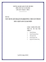 Tiểu luận: Xây dựng kế hoạch marketing cho sản phẩm dầu gội nam CLEAR MEN