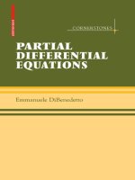 emmanuele dibenedetto partial differential equations  2009