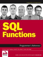 sql functions programmer's reference (programmer to programmer)