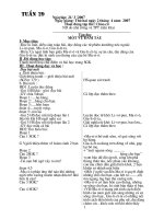 Giáo án lớp 5 tuần 29