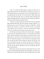 Nghiên cứu đặc điểm môi trường lao động, sức khỏe bệnh nghề nghiệp và kết quả một số biện pháp can thiệp tại nhà máy đóng tàu Hạ Long