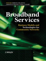 broadband services business models and technologies for community networks