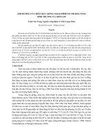 Ảnh hưởng của trâu đực giống ngoại hình to tới khả năng sinh trưởng của đời con