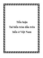 tiểu luận tai biến tràn dầu trên biển ở việt nam