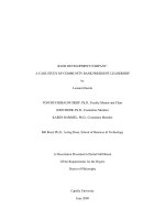 Bank development company A case study of community bank president leadership