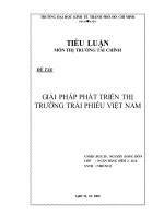 Tiểu luận thị trường tài chính: Giải pháp phát triển thị trường trái phiếu Việt Nam