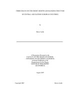 Three essays on the credit growth and banking structure of Central and Eastern European countries