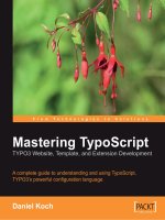 mastering typoscript typo3 website, template, and extension development