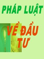 Pháp luật về đầu tư