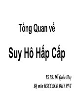 tổng quan về suy hô hấp cấp 2010