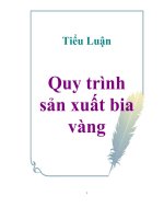 tiểu luận quy trình sản xuất bia vàng