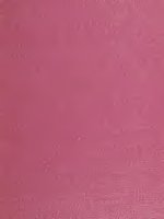 newman e. gluck & the opera