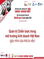 Quản trị chiến lược trong môi trường kinh doanh việt nam (góc nhìn của nhà tư vấn)