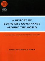 university of chicago press a history of corporate governance around the world family business groups to professional managers jan 2006