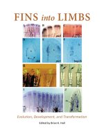 university of chicago press fins into limbs evolution development and transformation feb 2007