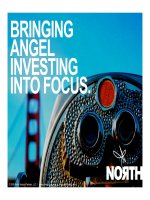 BRINGING ANGEL INVESTING INTO FOCUS: Case study