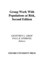 group work with populations at risk jun 2004