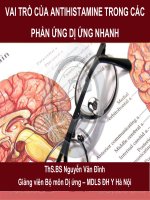 vai trò cửa antihistamin trong các phản ứng dị ứng nhanh