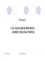 Bài giảng các dich chuyen hoi đoái (forex transactions)   PGS TS  trần huy hoàng