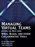 managing virtual teams getting the most from wikis, blogs, and other collaborative tools