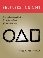 selfless insight zen and the meditative transformations of consciousness mar 2009