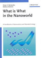 what is what in the nanoworld. a handbook on nanoscience and nanotechnology, 2004, p.350