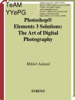adobe photoshop elements 3 solutions - the art of digital photography