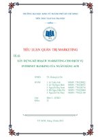 Xây dựng kế hoạch marketing cho dịch vụ internet banking của ngân hàng ACB