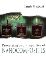 processing and properties of nanocomposites, 2007, p.463