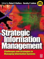 strategic information management challenges and strategies in managing information systems (2003)