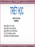 Thảo luận về vấn đề chân lý