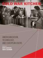 the mit press cold war kitchen americanization technology and european users mar 2009