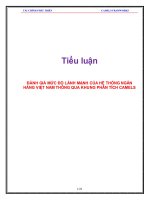 Tiểu luận tài chính phát triển: Đánh giá mức độ lành mạnh của hệ thống ngân hàng Việt Nam thông qua khung phân tích CAMELS