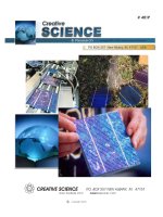 homemade solar cells