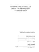 An experimental analysis of the factors impacting audit committee members' judgments and decisions