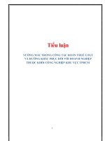 tiểu luận: Vướng mắc trong công tác hoàn thuế TGT và hướng khắc phục đối với doanh nghiệp thuộc khối công nghiệp khu vực TPHCM