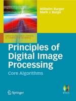 wilhelm burger, mark j. burge  -  principles of digital image processing. core algorithms