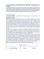 lựa chọn kháng sinh đường tiêm trong nhiễm trùng nặng ở trẻ sơ sinh